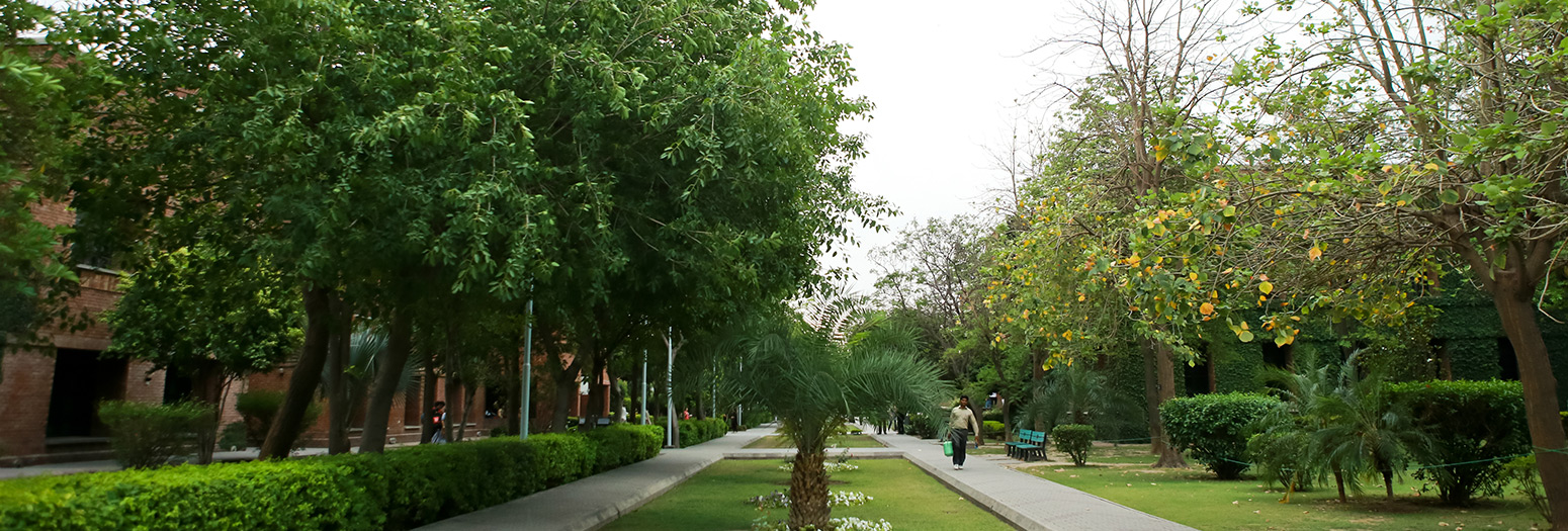dasda